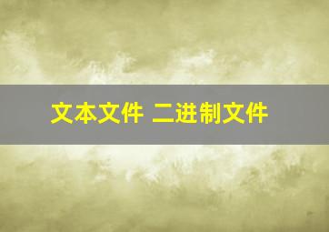 文本文件 二进制文件